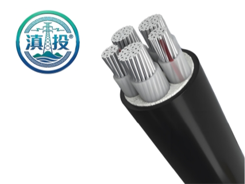 云南電纜廠+昆明電纜廠雙立足！滇投® 務(wù)實(shí)深耕本地輻射周邊