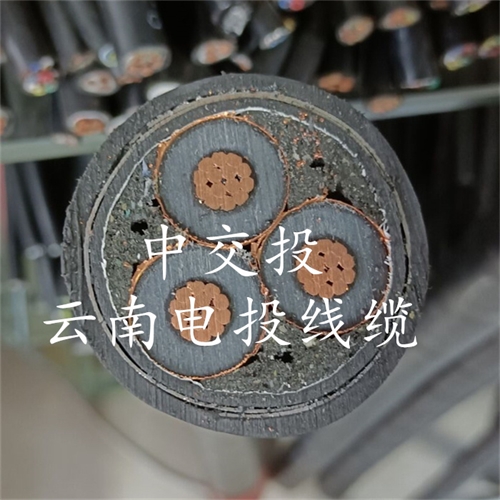 thierimport-auto.com