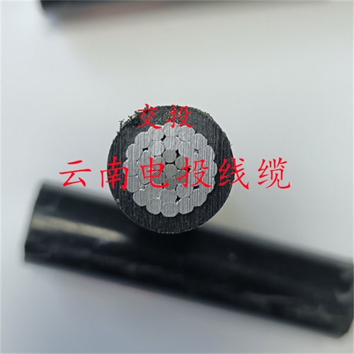 thierimport-auto.com