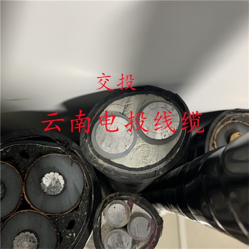 thierimport-auto.com