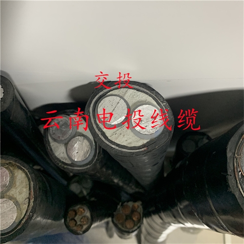 thierimport-auto.com