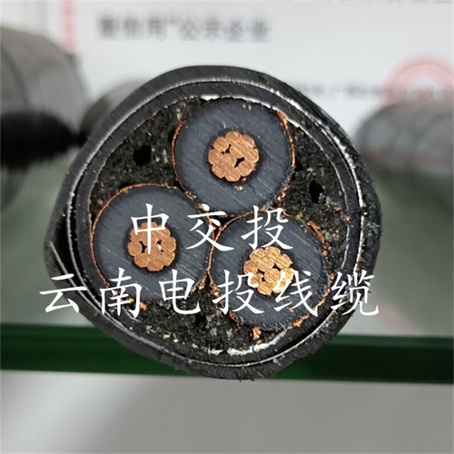 thierimport-auto.com