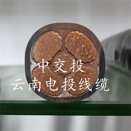 thierimport-auto.com