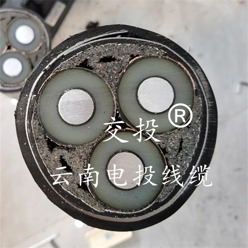 thierimport-auto.com