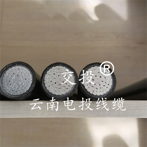 thierimport-auto.com