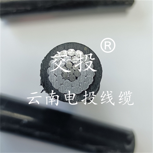 thierimport-auto.com