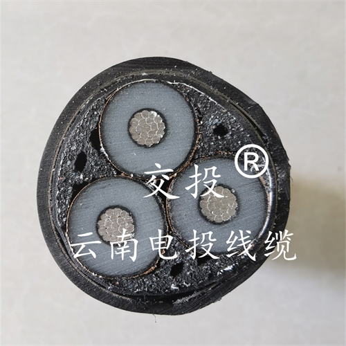 thierimport-auto.com