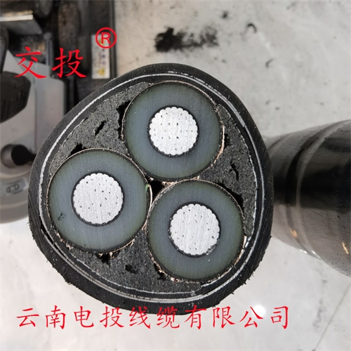 thierimport-auto.com