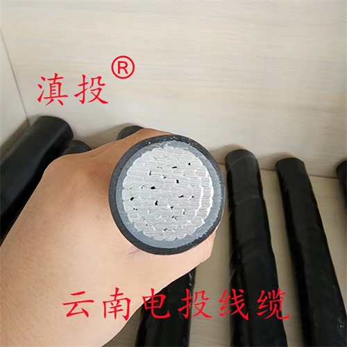 thierimport-auto.com