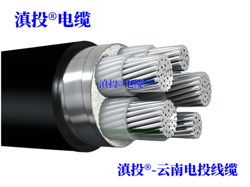 thierimport-auto.com