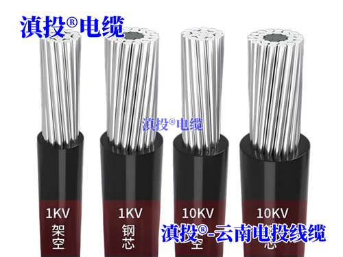 thierimport-auto.com